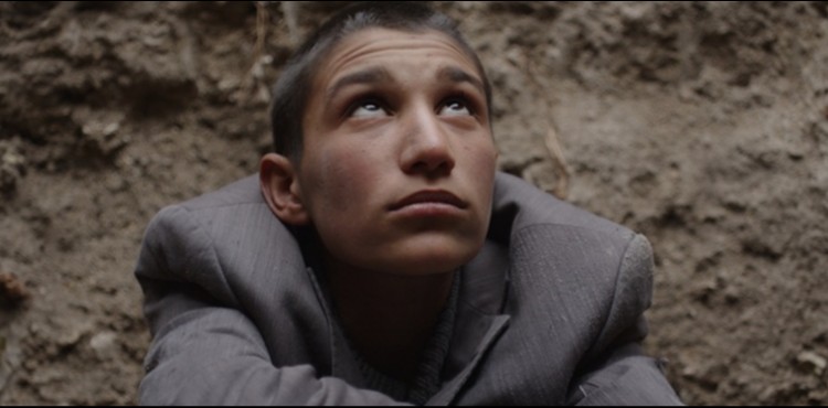 B�R �OCU�UN KURDU�U K���K D�NYA: TAV�AN �MPARATORLU�U