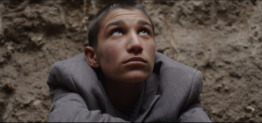 B�R �OCU�UN KURDU�U K���K D�NYA: TAV�AN �MPARATORLU�U